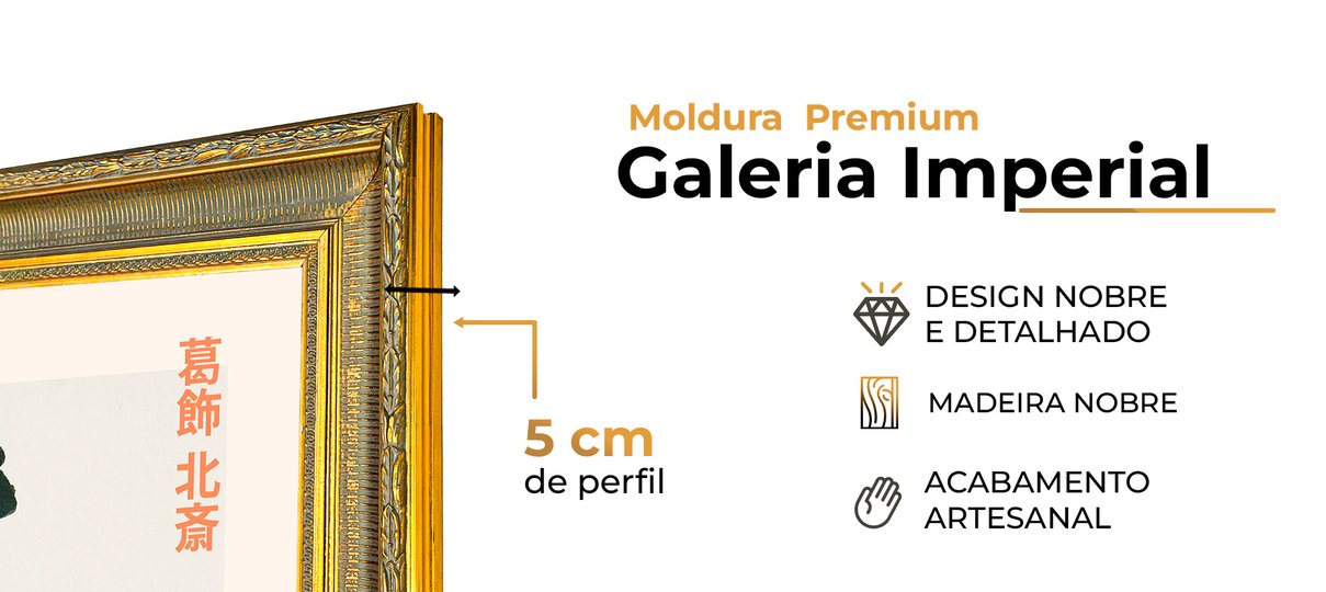 descricao geral molduras novas5 01