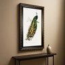 quadro charles dessalines d orbigny indian peafowl cenario2