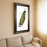 quadro charles dessalines d orbigny indian peafowl cenario4