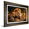 quadro familia de leoes com 2 filhotes v835 09