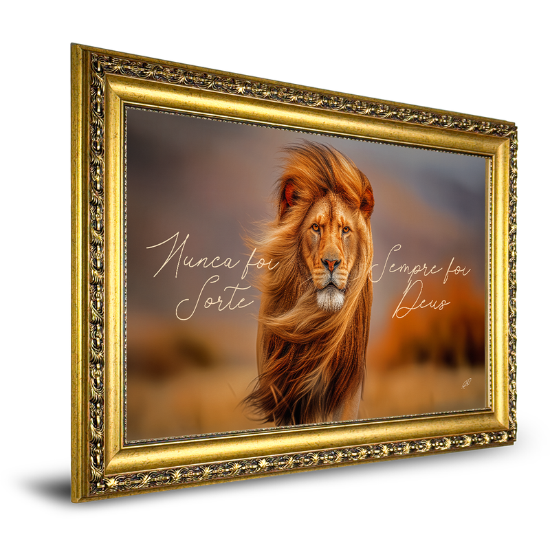 quadro nunca foi sorte 07