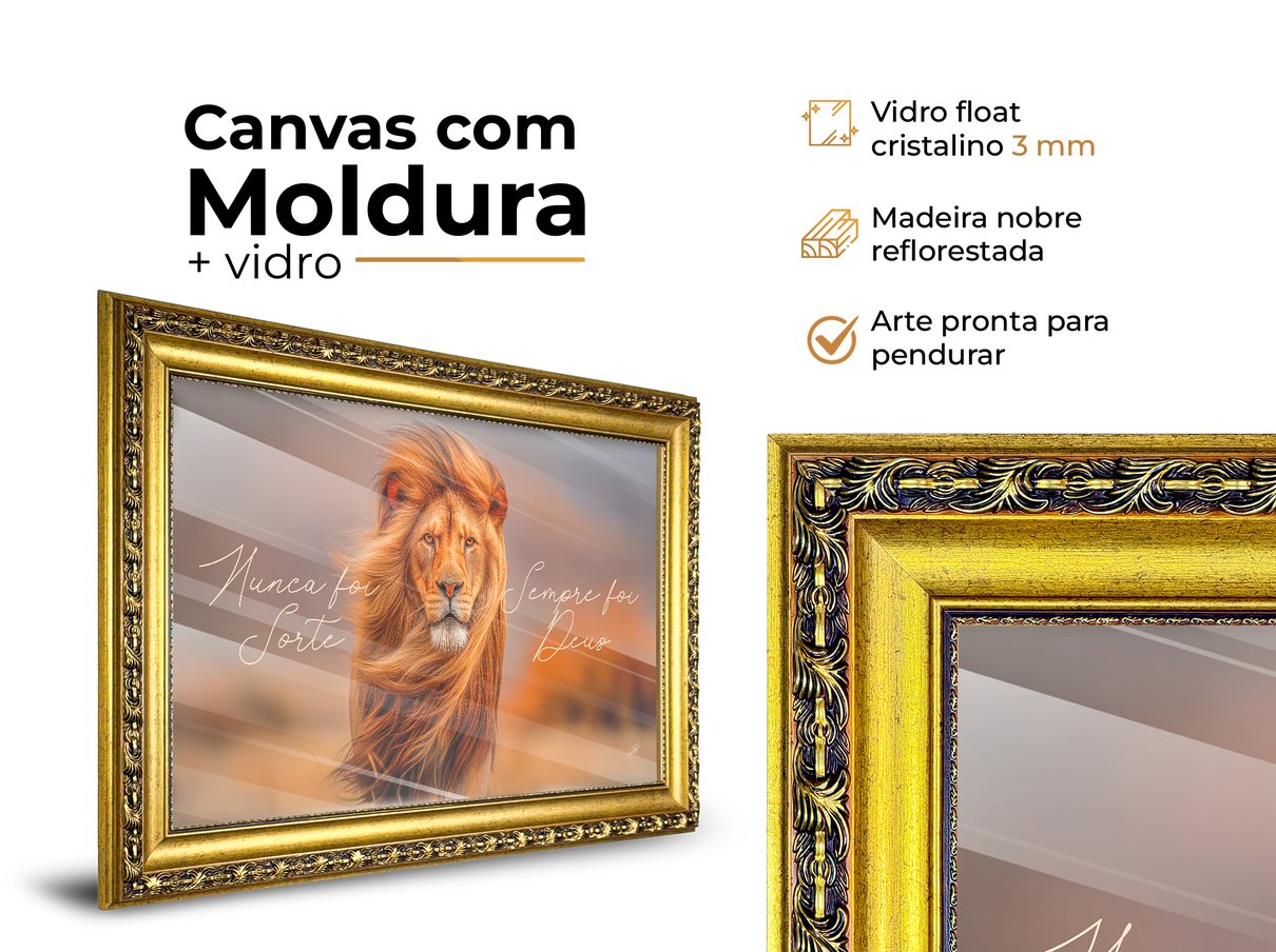 descric a o geral molduras novas horizontal 03