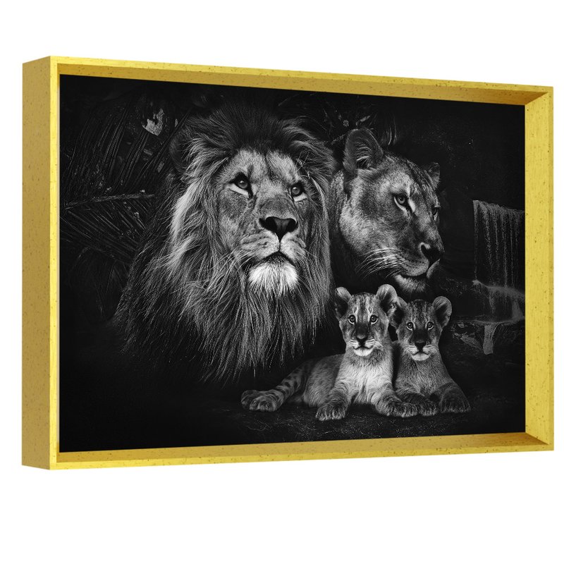 dourado 2 fami leao pb