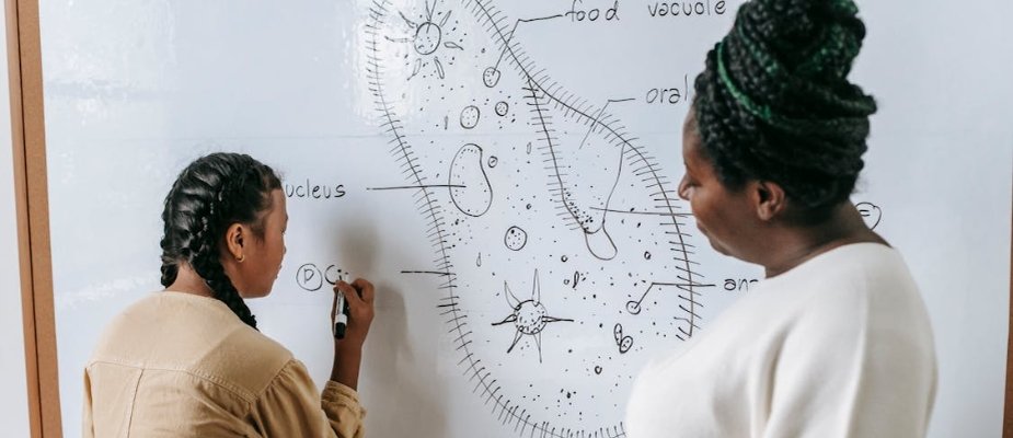 Como Limpar Quadro Branco: Guia Completo para Manter seu Espaço Sempre Organizado