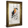 quadro decorativo charles dessalines d orbigny com vidro toucan
