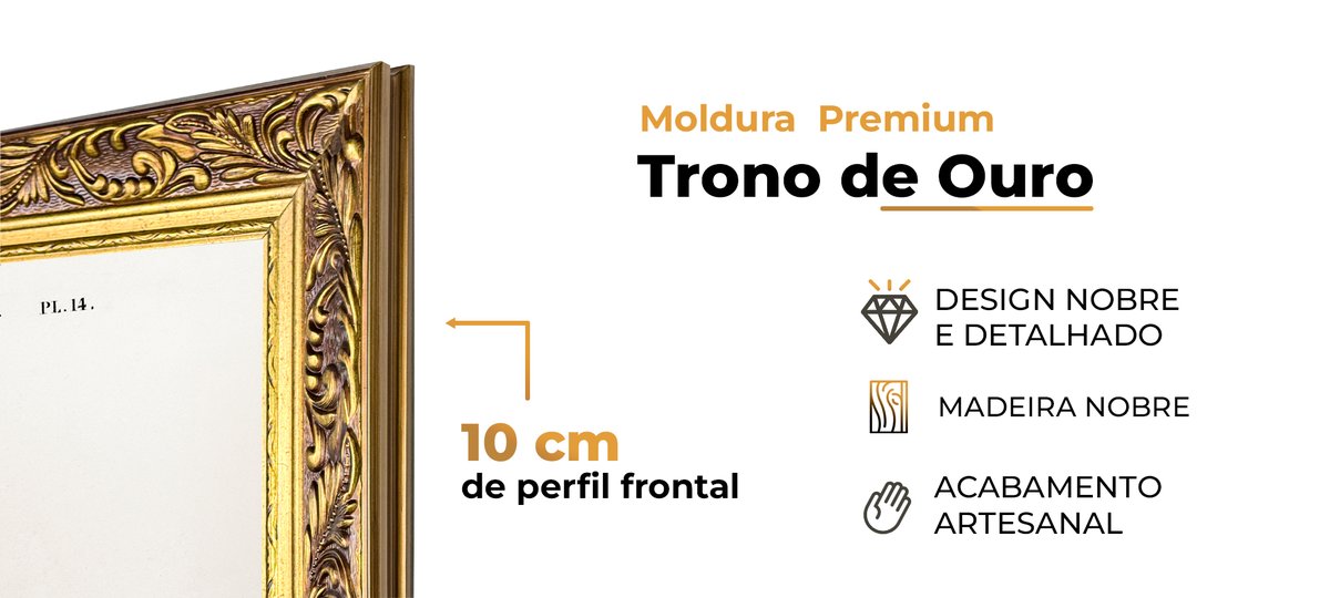 descric a o moldura encanto dourado 01
