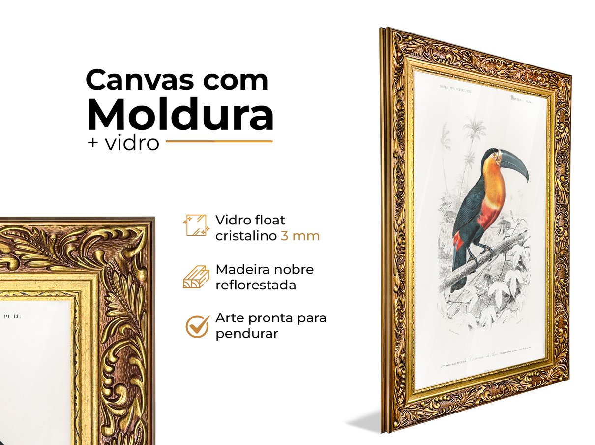 descric a o moldura encanto dourado 03