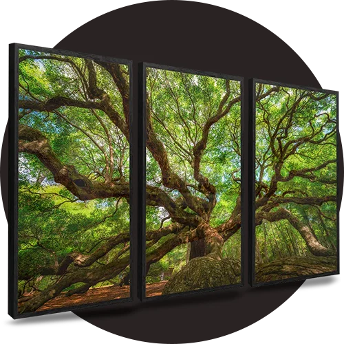 natureza